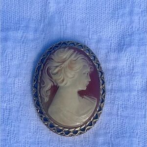 Elegant Cameo Brooch with Gold tone Detailing